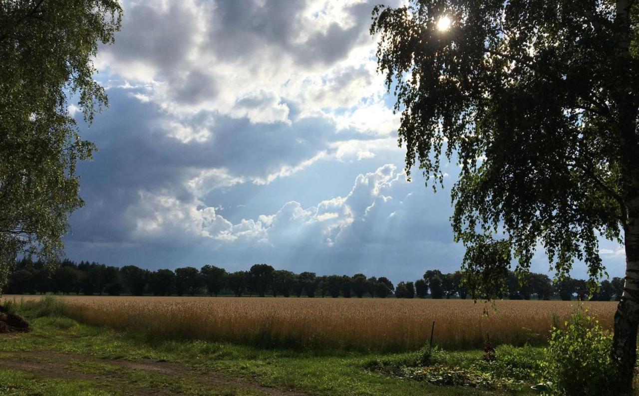 Ferienhof Timmerloher Heide Soltau Exterior foto